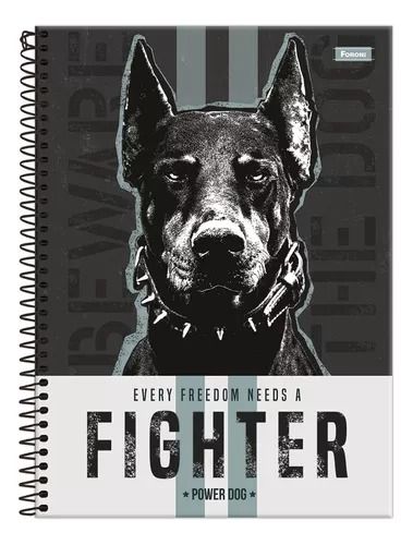 Caderno CD 10Mat 160F Power Dog 