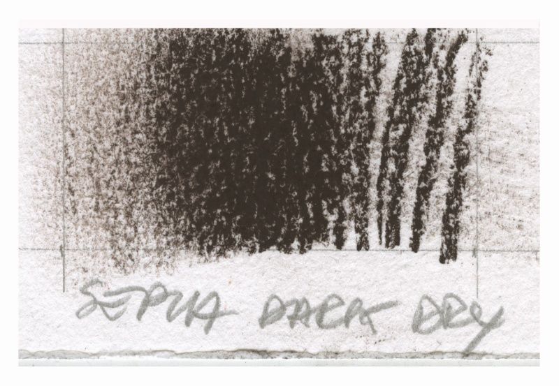 Lapis Seco Art Special Ref.L2051152 Sepia...